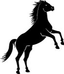 Black Horse On Two Legs Vector 2 Thumbnail