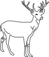 Black Outline White Deer Mammals Animal