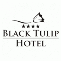 Black Tulip Hotel Dej Thumbnail