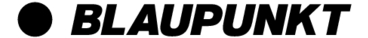 Blaupunkt Thumbnail