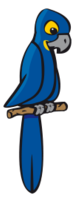 Blue Macaw Thumbnail
