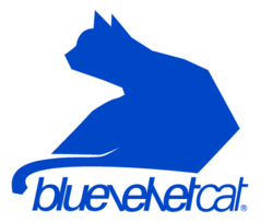 Bluevelvet Cat