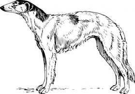 Borzoi clip art Thumbnail