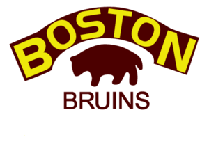 Boston Bruins