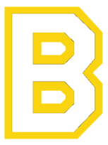 Boston Bruins