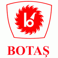 Botas