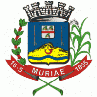 Brasão de Muriaé / MG / Brasil