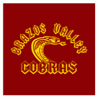 Brazos Valley Cobras Thumbnail