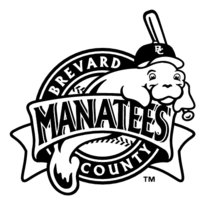 Brevard County Manatees
