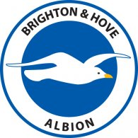 Brighton & Hove Albion F.C. Thumbnail