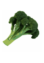 Broccoli Thumbnail