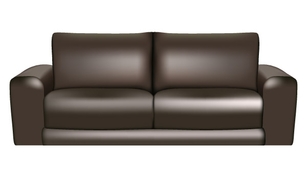 Brown Leather Sofa