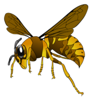 Brown-Yellow Hornet Thumbnail