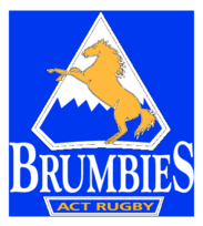 Brumbies Thumbnail