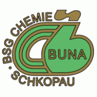 BSG Chemie Schkopau Thumbnail