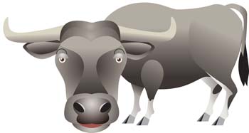 Bull Vector 2