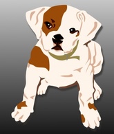Bulldog Puppy clip art Thumbnail