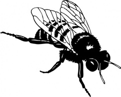 Bumble Bee clip art Thumbnail