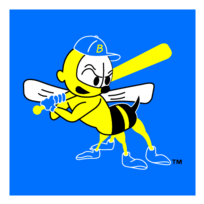 Burlington Bees Thumbnail