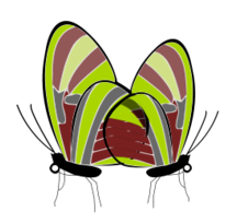 Butterflies Thumbnail