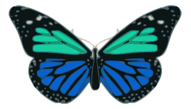 Butterfly 02 Turquoise Blue Thumbnail
