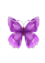 Butterfly Thumbnail