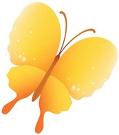 Butterfly Vector 32