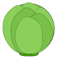 Cabbage Thumbnail
