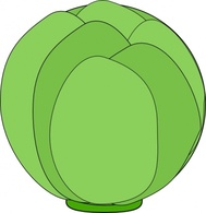 Cabbage clip art Thumbnail