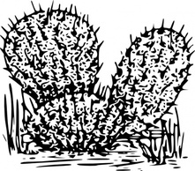 Cactus clip art Thumbnail