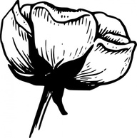 Calyx Of A Flower clip art Thumbnail