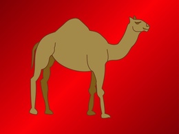 Camel Vector Thumbnail