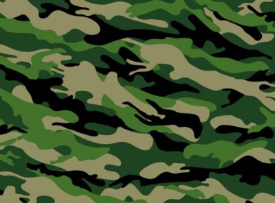 Camouflage background Thumbnail