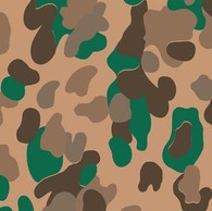 Camouflage Pattern 1 Thumbnail