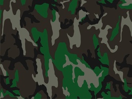 Camouflage Pattern Thumbnail