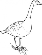 Canada Goose clip art Thumbnail
