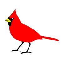 Cardinal remix 2