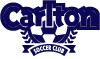 Cartlon Soccer Logo