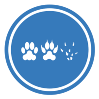 Cat-Dog-Mouse Unification Peace Logo Thumbnail