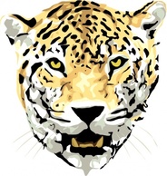 Cat Head Outline Drawing Face Cartoon Wild Jaguar Animal Jungle Mammal Carnivore Jaguars