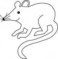 Cat Mouse Black Outline White Cats Chasing Mice