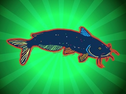 Catfish Illustration Thumbnail