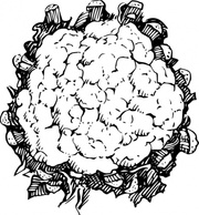 Cauliflower clip art Thumbnail