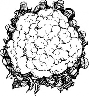 Cauliflower clip art