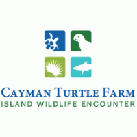 Cayman Turtle Farm Thumbnail