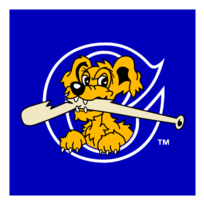 Charleston Riverdogs Thumbnail