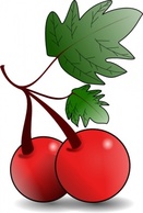 Cherries Fruit clip art Thumbnail