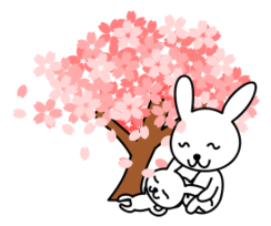 Cherry Blossoms Rabbit