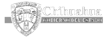 Chihuahua Gobierno Del Estado