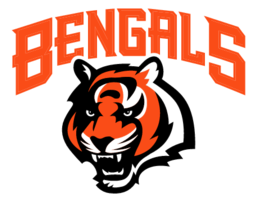 Cinncinati Bengals